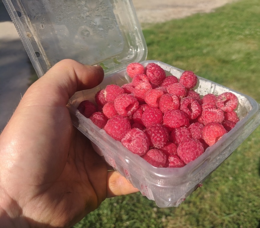 a pint of raspberries